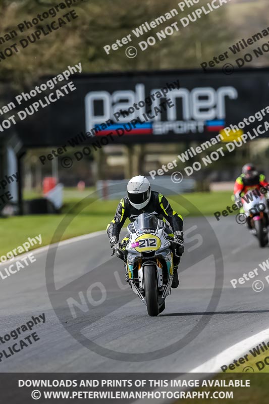 Oulton Park 21st March 2020;PJ Motorsport Photography 2020;anglesey;brands hatch;cadwell park;croft;donington park;enduro digital images;event digital images;eventdigitalimages;mallory;no limits;oulton park;peter wileman photography;racing digital images;silverstone;snetterton;trackday digital images;trackday photos;vmcc banbury run;welsh 2 day enduro